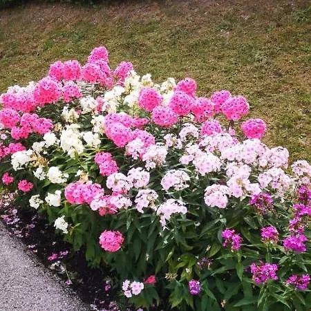 Apartament Haus Am Fusse Des Semmerings *