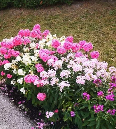 Apartman Haus Am Fusse Des Semmerings *